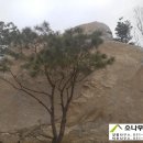 퇴촌부동산공인중개사사무소 이미지