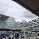 광명사슴농장 | 나홀로 울산 영남알프스 신불산 최단코스로 다녀온 후기(울산역-사슴농장-간월재-신불산)