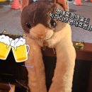 빅팥 | [경기/남양주] 평내호평역술집추천 빅파이브 평내호평점 내돈내산 간단솔직후기