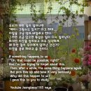 일 라고 이미지