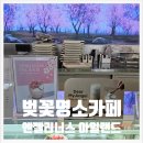 슈페너 | 대구 벚꽃 명소 수성못 카페 엔제리너스 벚꽃슈페너 후기
