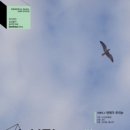 현대연구소로 이미지