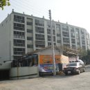 삼랑진로 이미지