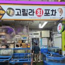 고릴라 포차