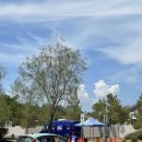 블랙스트링(비대면) | [라스베가스] 5일차 :: PCR검사, 얼스카페, 샤넬쇼핑, 델모니코스테이크하우스, 칩앤데일쇼