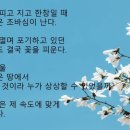 삼성영어셀레나본오영어교습소