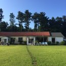 앨리스게스트하우스 이미지