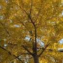 GS25 포항우방점 이미지