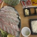 순돌이 회수산 이미지