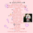 꿈꾸는음악학원 | 새롬동 꿈꾸는모짜르트음악학원 피아노 방학 일정 &amp; 과제 안내