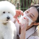 강아지사랑 - 성남시 수정구 탄리로 28 | 강아지사랑