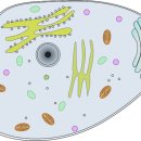 세정한의원 이미지