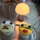 누볼라(NUVOLA) - 서초구 서초동 | 강남역 젤라또 맛집 누볼라(Nuvola) 방문 후기 | 무더운 여름, 가장 시원했던 한 컵의 행복🍨