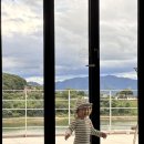 수네가 독채 풀빌라펜션 이미지