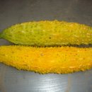 Bitter melon(여주)의 임상학적 연구보고(5) 이미지