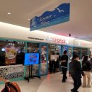 케르반레스토랑 코엑스점 | 케르반 코엑스몰점 런치세트 메뉴 식사 후기