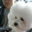 놀아보개 이미지