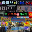 머구리 티스토리