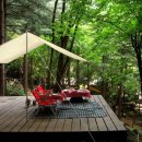 금동산야 이미지