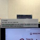 (주)거봉 | 부산에도 진출한 차백도 메뉴추천 망고 포멜로 사고 거봉 젤리 스무디 솔직 후기