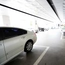 다모드림의원 | 순천탈모치료 순천액취증 다모드림에서 해결~