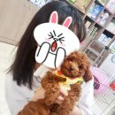 남창원동물병원 이미지