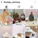 포레그스 이미지