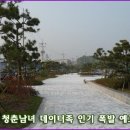 일산수산물판매센터 Daum카페