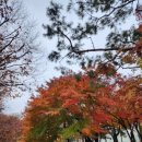 해도근린공원 이미지