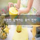 일다정