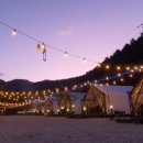 자연에 머물다 이미지