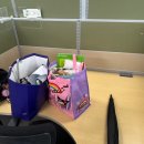 교동10길 8-1, (교현동) | 살아라 이놈들아 미리 당겨쓴 육아휴직 전 포항, 대구 일상 일기 개골개골🐸 (교동맛집, 포항맛집,벚꽃일기)