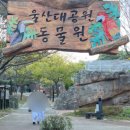 동천초교 병설유치원 이미지