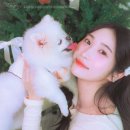 다인시스템 | 수원사진관 찾다가 만족했던 다인어리스튜디오 후기 📸✨