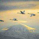 저녘노을 이미지