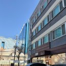 013-2 | 진도모피 013 본사 구매후기 백화점 가격 비교