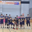 [강서,양천,영등포] MoK에서 루키 모집합니다🔥 🏀 이미지