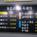 늘조은 돼지