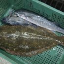 소래포구종합어시장 이미지