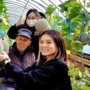 신선농장 이미지