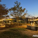 탄금호피크닉공원 3 이미지