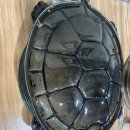 거북솥삼겹살 | 추석에도 영업하는 구로맛집, 거북솥삼겹살 불맛 가득한 삼겹살 한판!