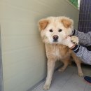 인덕 초등학교 이미지