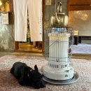 옥수회관 | 제주 애월카페 골목카페옥수 주차 메뉴 강아지