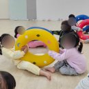 유아체육 Daum카페
