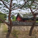 광화문 아트홀 Daum카페