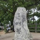 8월29일(토)청계산 매봉(제38회차 공지) 이미지