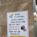 24시스마일동물의료센터동물병원 네이버블로그