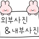 쇼디치560 이미지