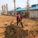 푸르름의 농원 이미지